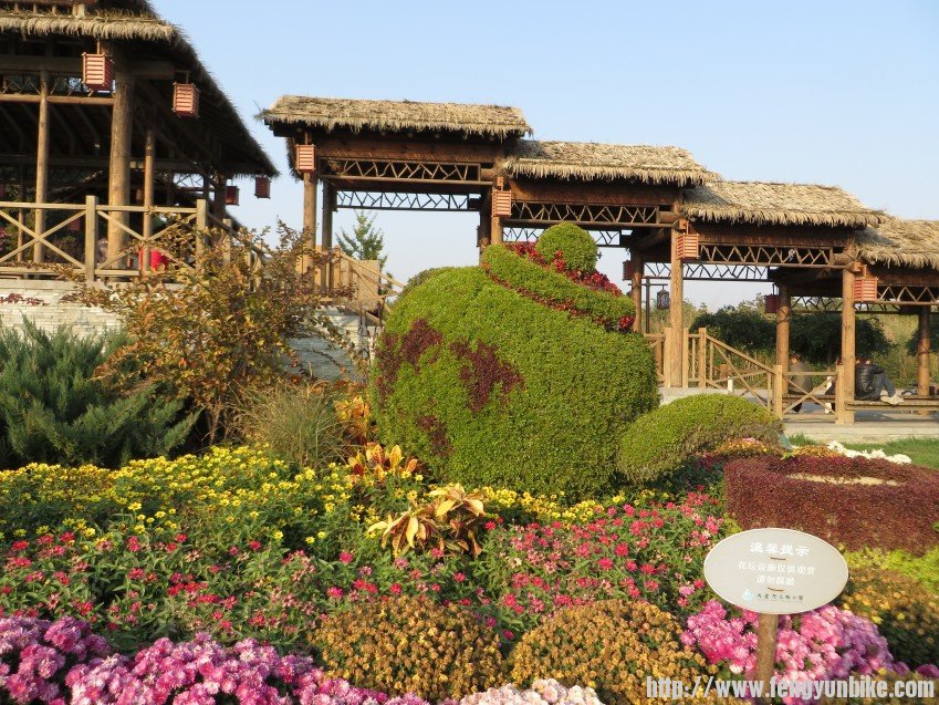 照片 2826_conew1.jpg