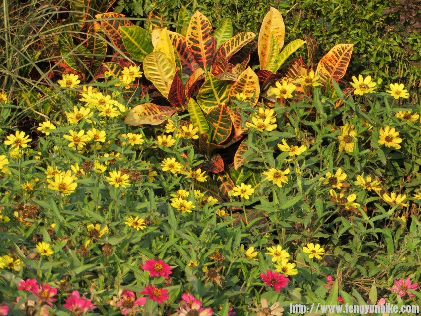 照片 2830_conew1.jpg