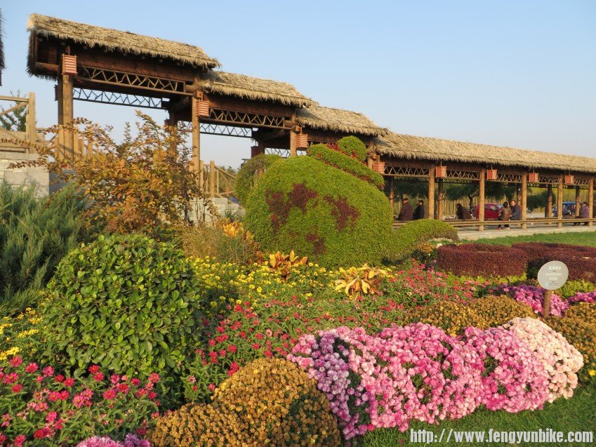 照片 2836_conew1.jpg