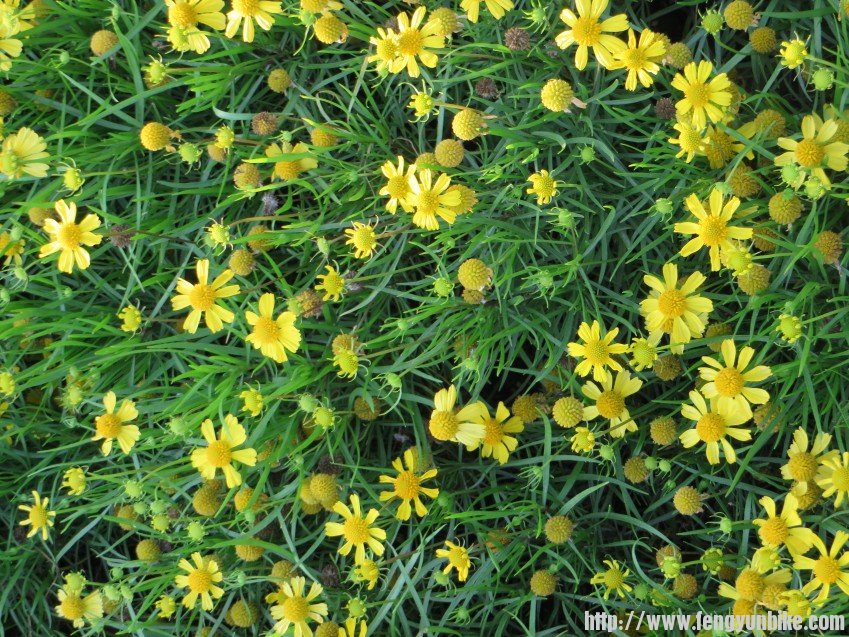 照片 2840_conew1.jpg