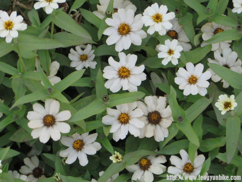 照片 2841_conew1.jpg