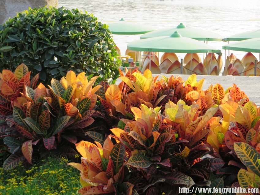 照片 2842_conew1.jpg