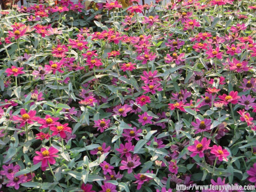 照片 2844_conew1.jpg