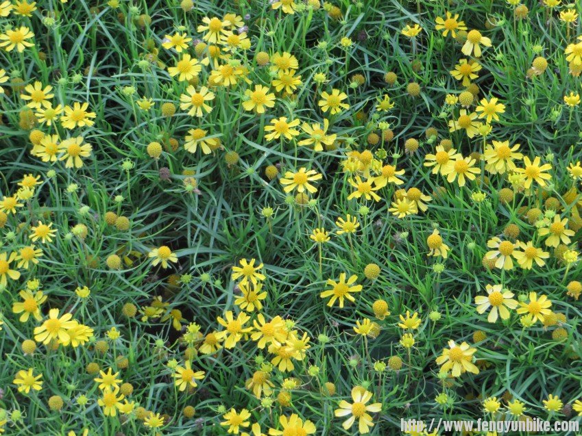 照片 2843_conew1.jpg