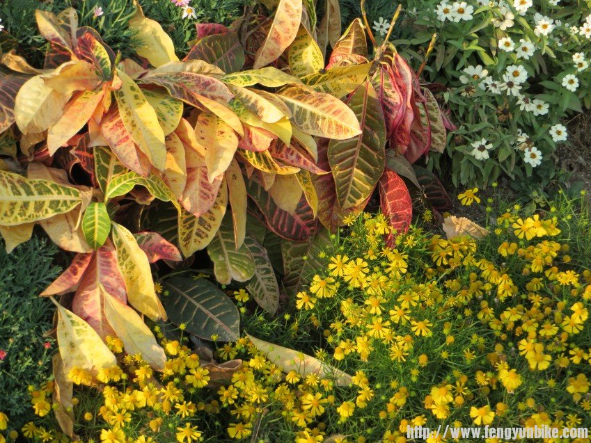 照片 2848_conew1.jpg