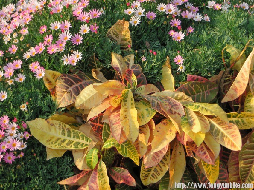 照片 2849_conew1.jpg