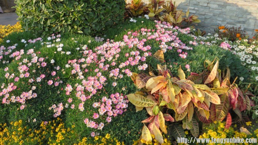 照片 2850_conew1.jpg