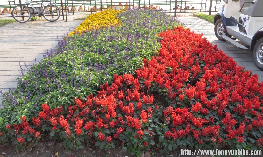 照片 2856_conew1.jpg