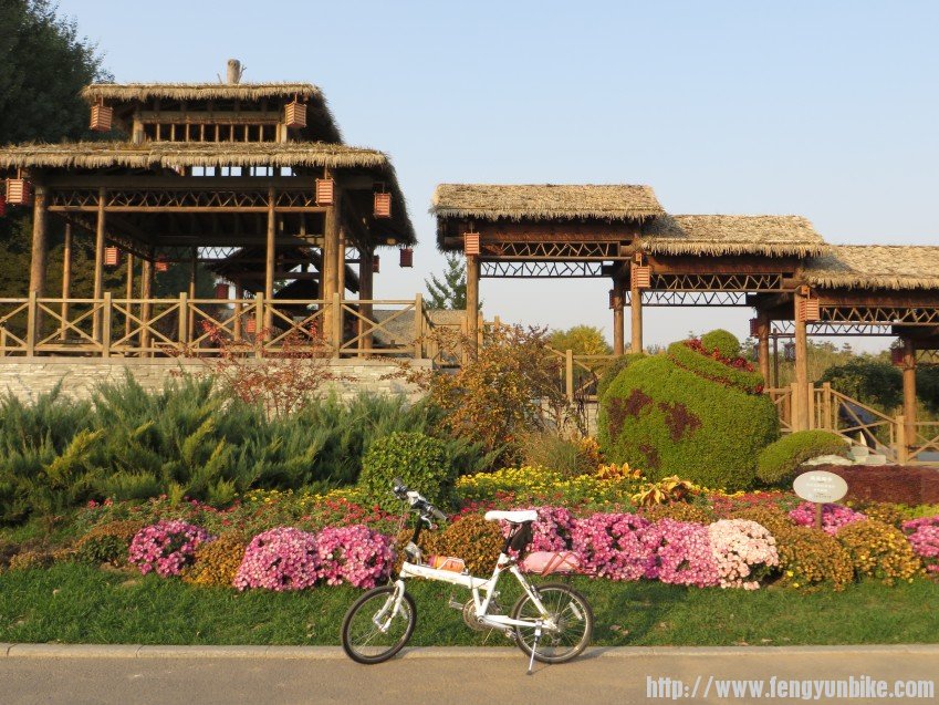 照片 2861_conew1.jpg