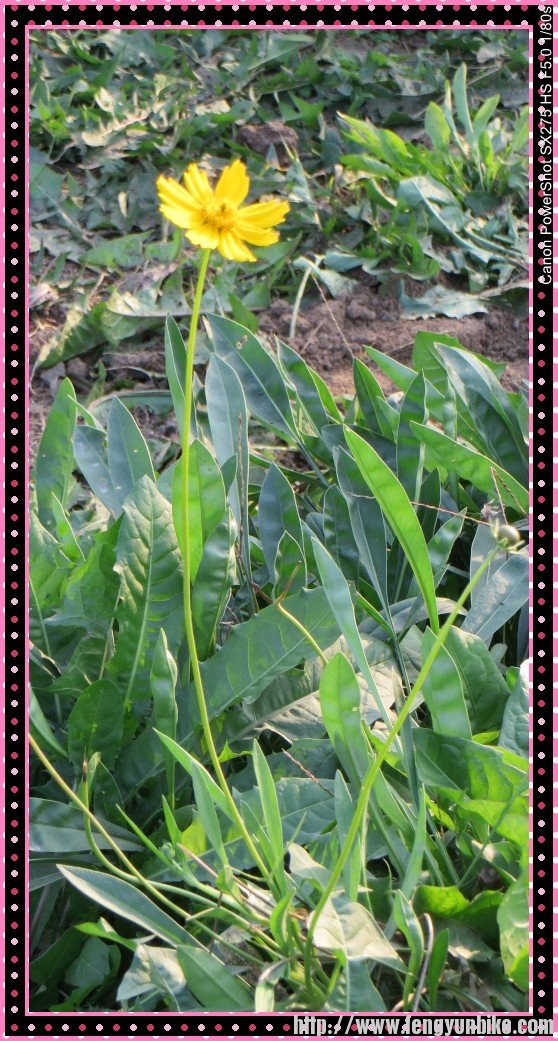 照片 2864_conew2.jpg