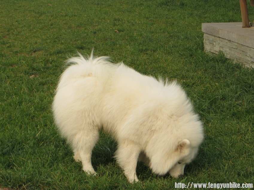 照片 2870_conew1.jpg