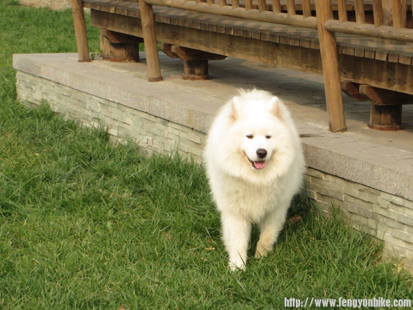 照片 2873_conew1.jpg