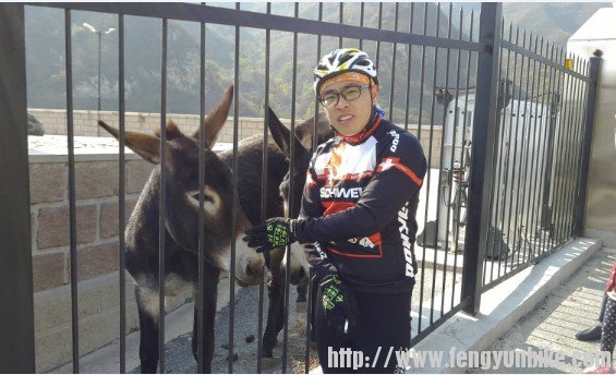 人畜情未了，，，你懂得