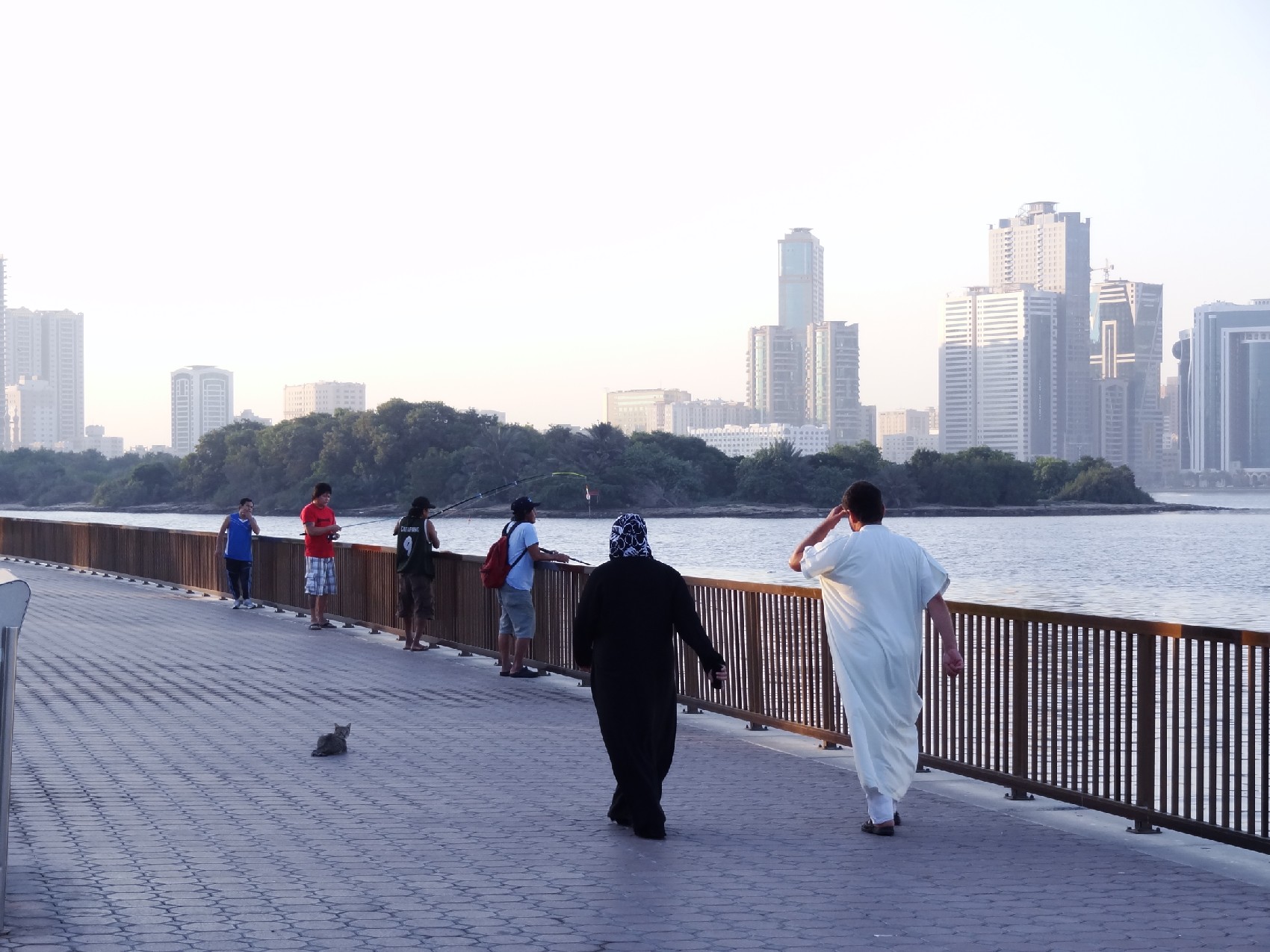 DSC01087 - 副本.JPG