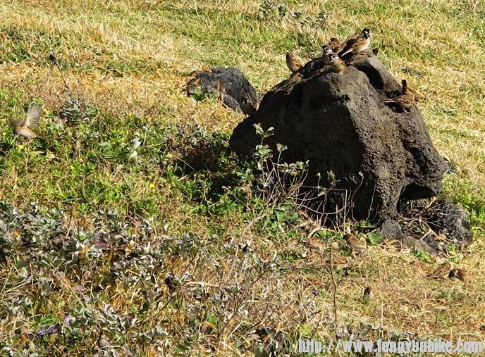 别打扰，我们也在观海