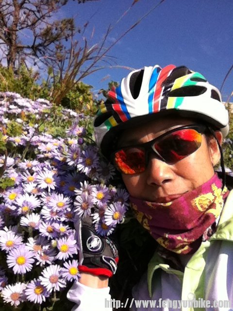 有花，没有花仙子怎么行