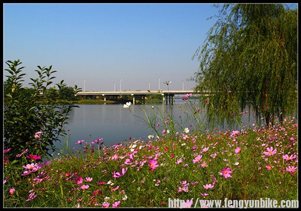 远眺北运河大桥