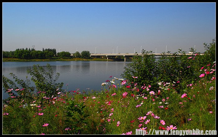 鲜花掩映中的北运河大桥