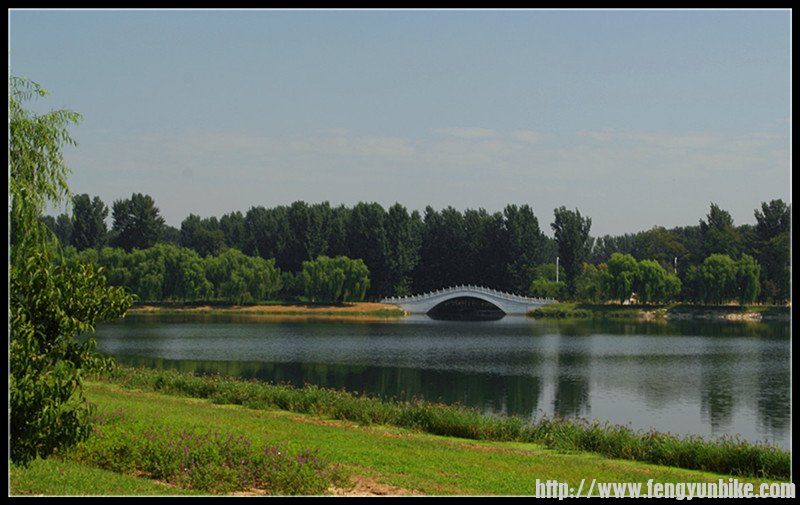 远眺银枫秋实景区