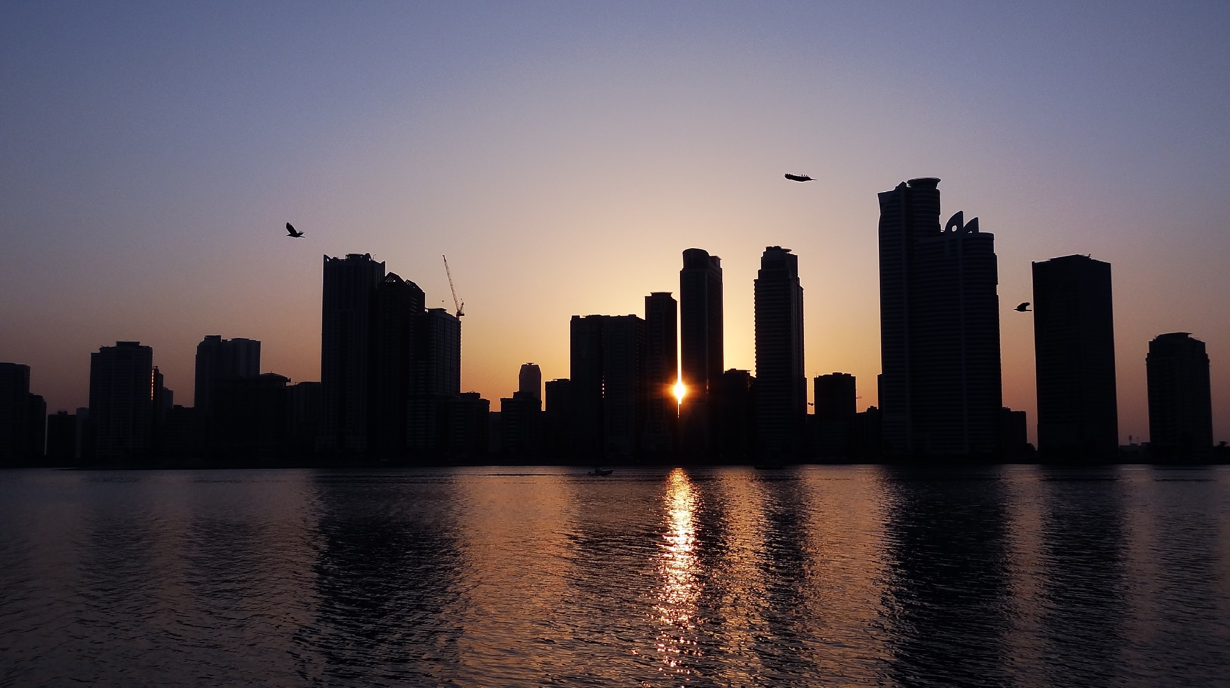 DSC01143 - 副本.JPG