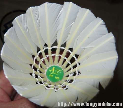 照片 2963_conew1.jpg