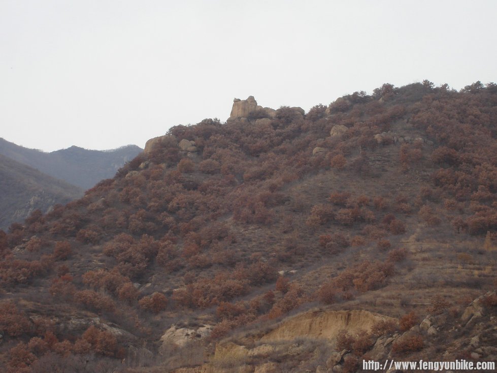 拍到别人的背影只能说明我的位置