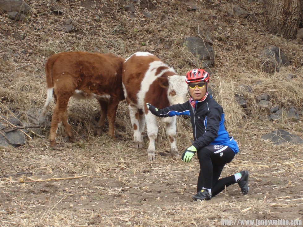 转身瞬间变身英勇无畏斗牛士
