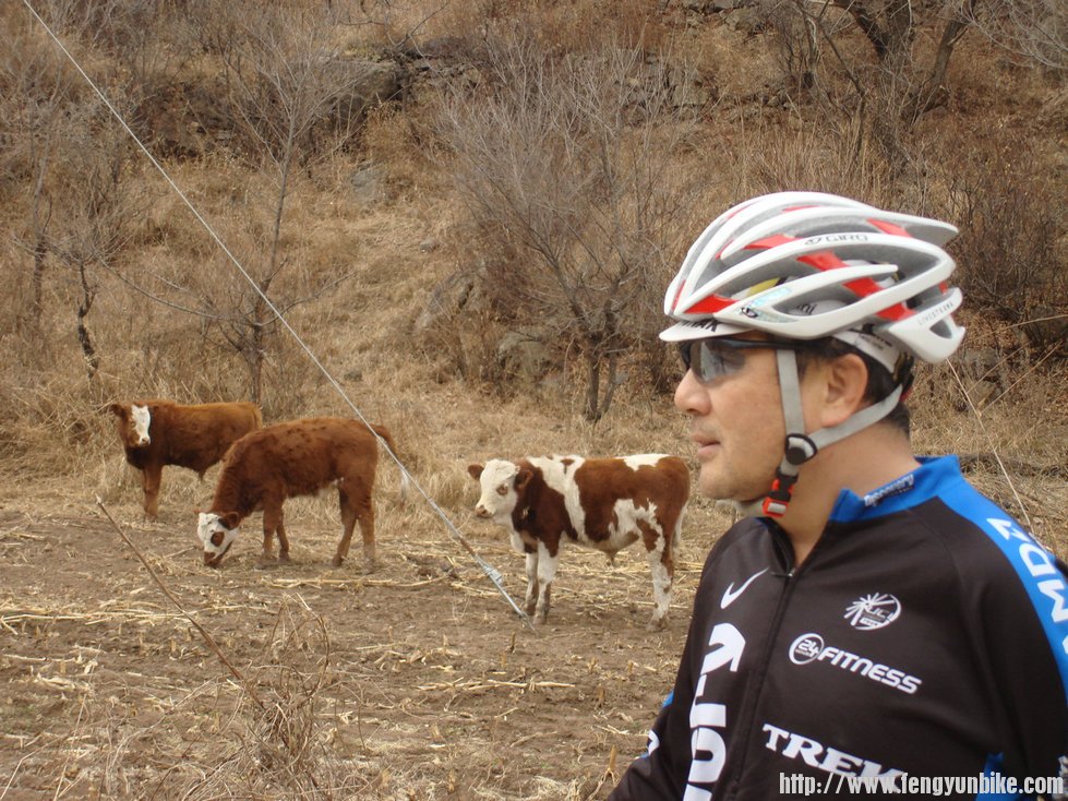 总统快啃着紫盖了