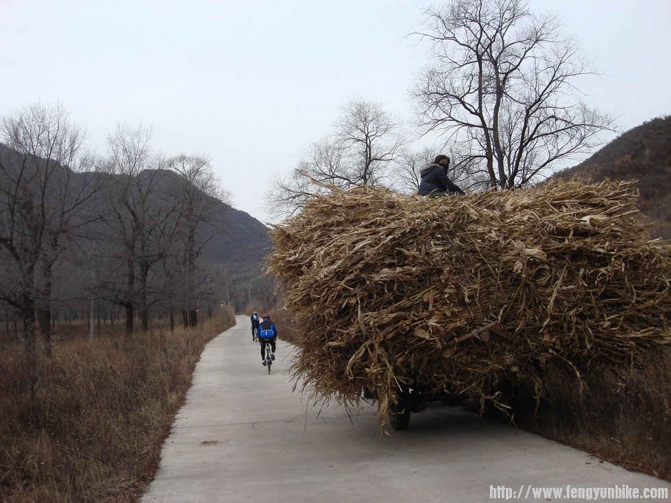 拉着棒颉的车子给我们让路也不容易呀