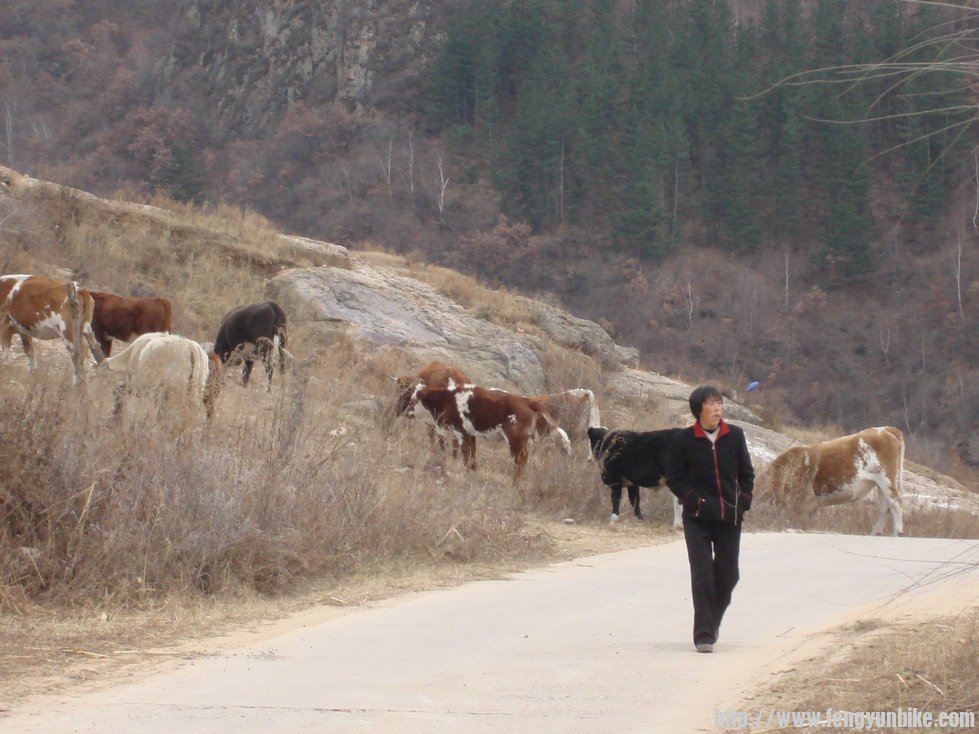 可是路上人来人往