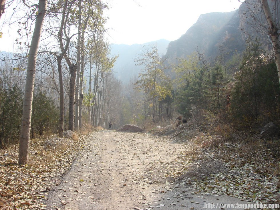 这哥俩领着我们去xc