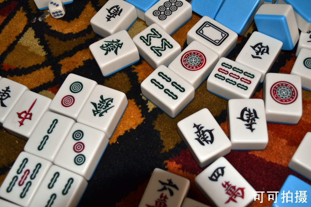 NIKON CORPORATION3.jpg