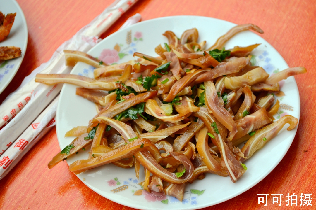 NIKON CORPORATION1.jpg