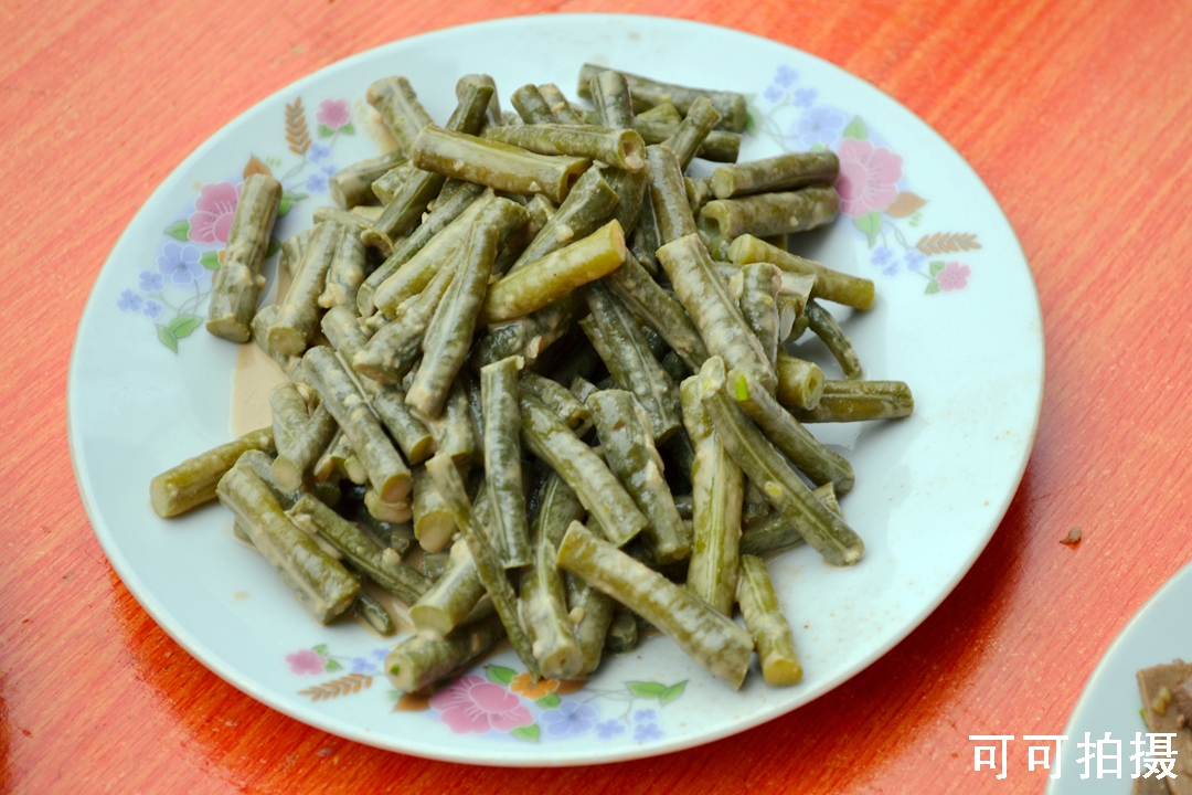 NIKON CORPORATION5.jpg