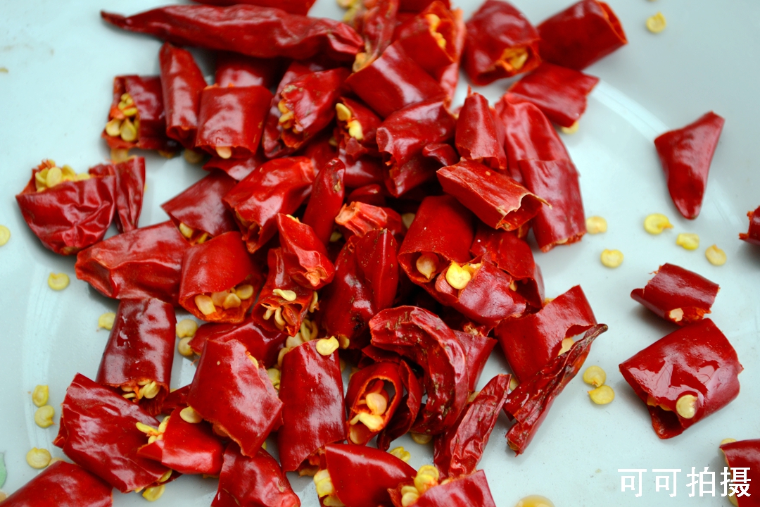 NIKON CORPORATION7.jpg