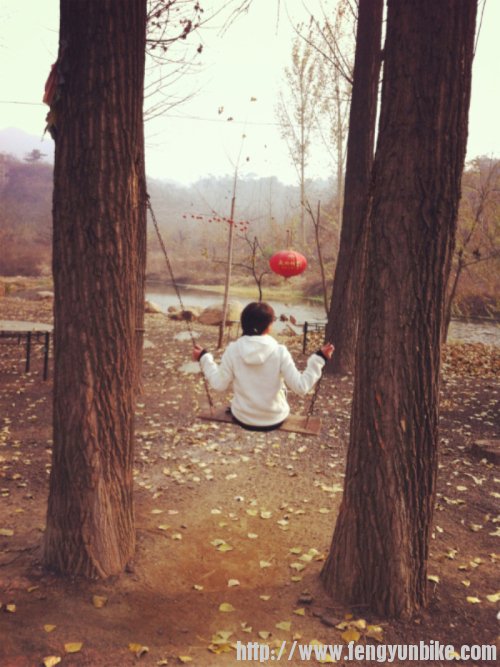 荡呀荡~荡秋千~