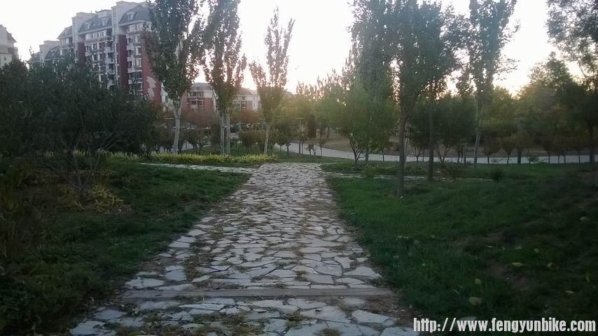 调整大小 WP_20131103_001.jpg