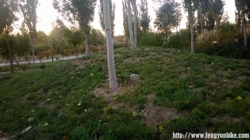 调整大小 WP_20131103_003.jpg