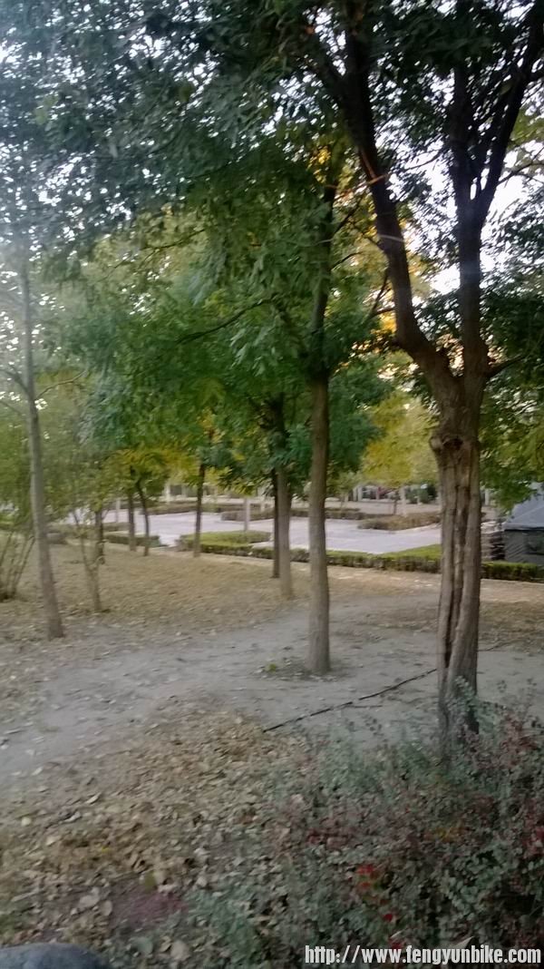 调整大小 WP_20131103_010.jpg