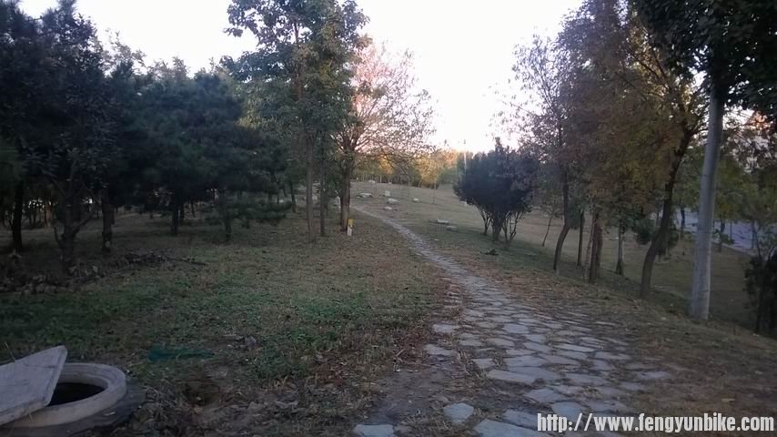 调整大小 WP_20131103_014.jpg