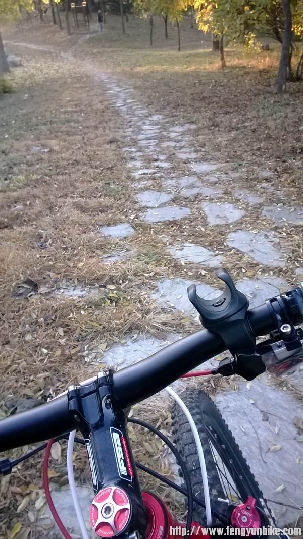 调整大小 WP_20131103_017.jpg