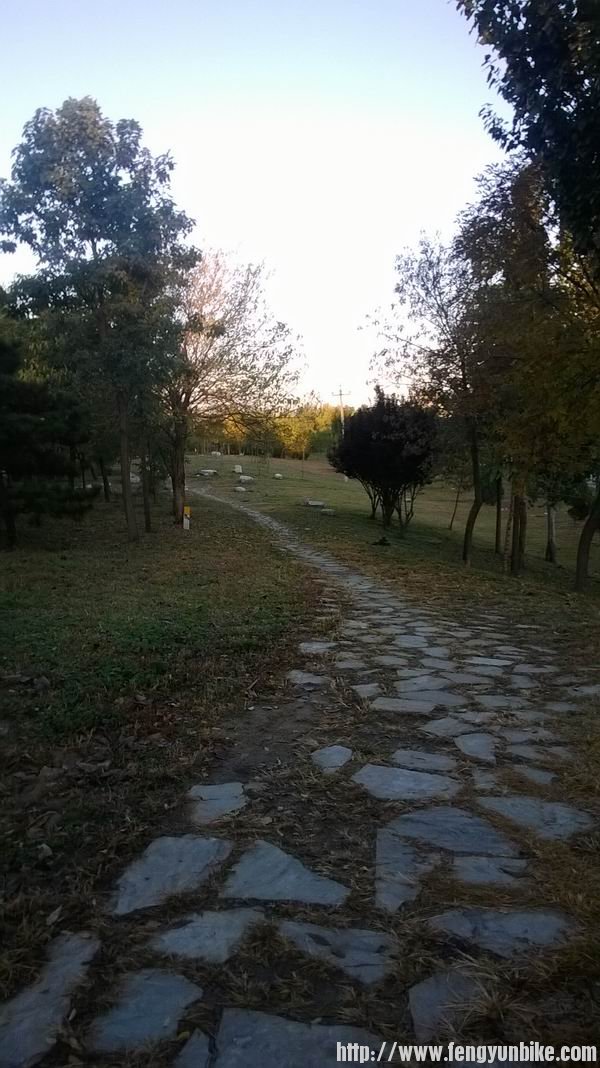 调整大小 WP_20131103_018.jpg