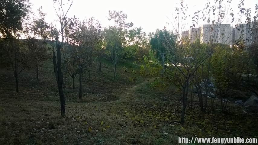 调整大小 WP_20131103_032.jpg