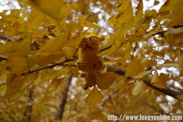 发现小黄了吗？