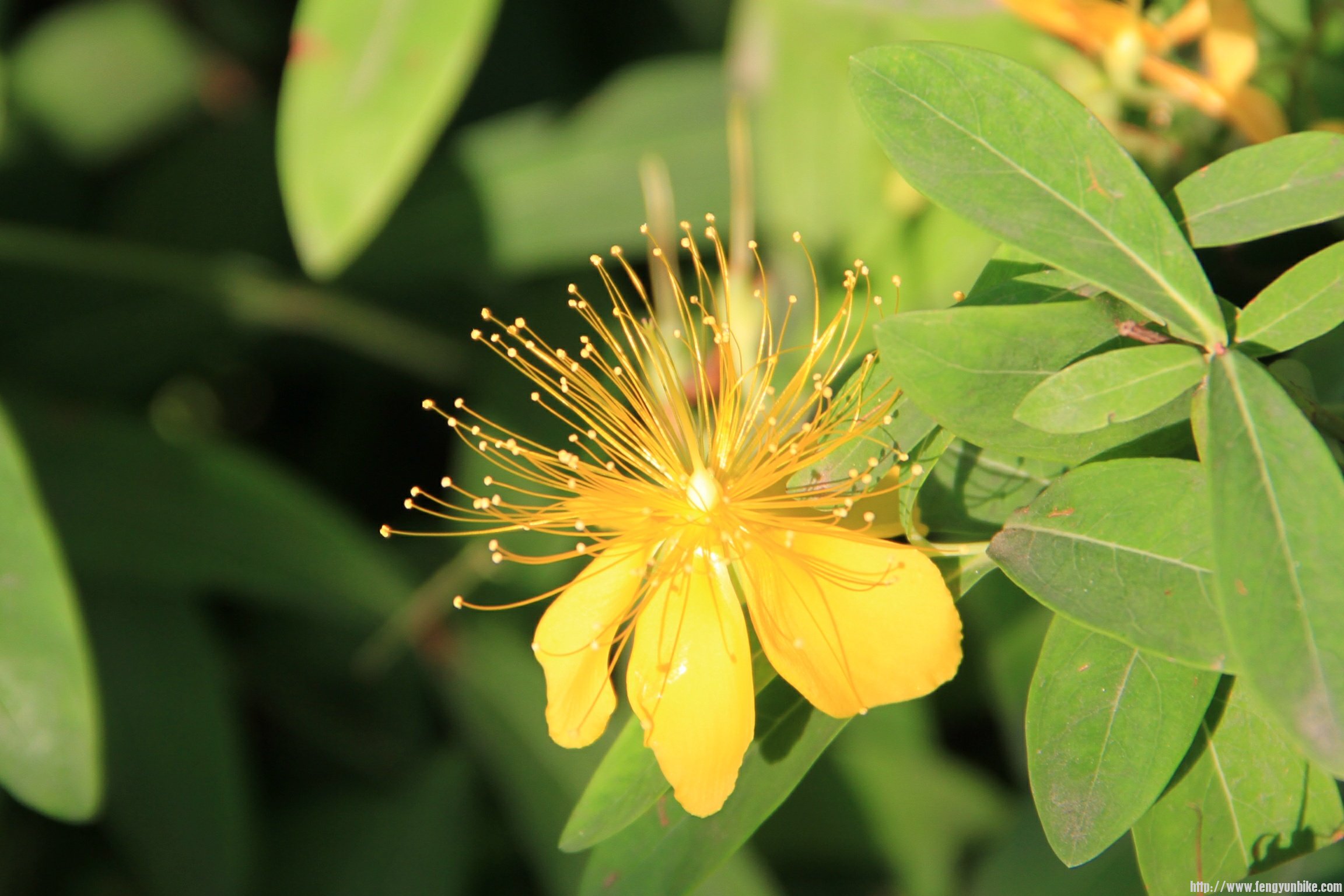 IMG_7478 (2)_2345看图王.JPG