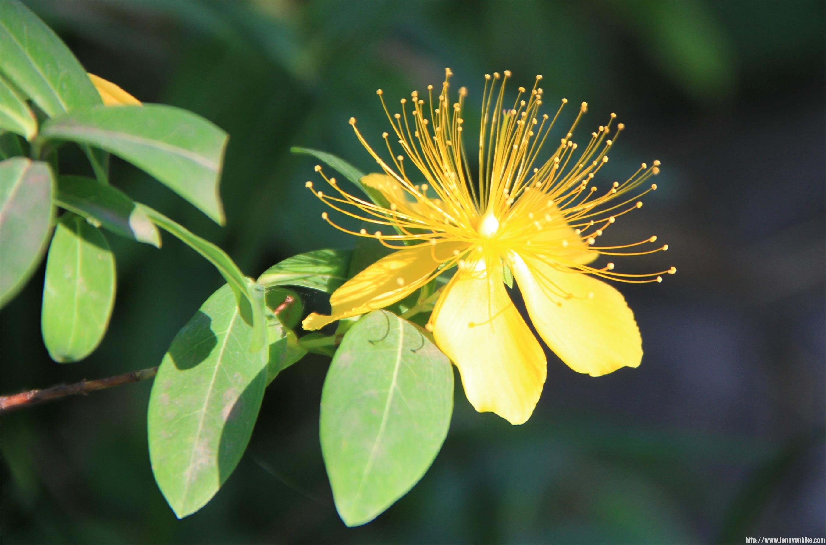 IMG_7479 (2)_2345看图王(1).JPG