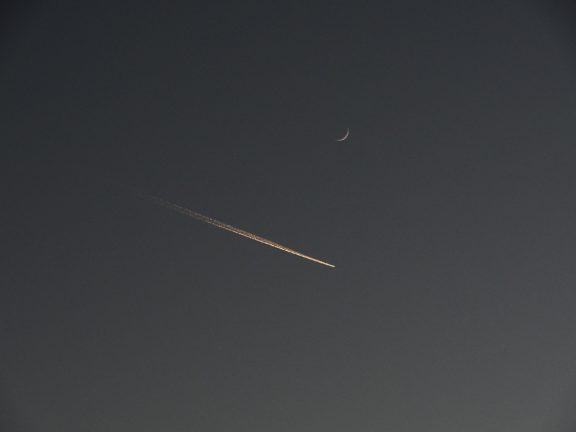 DSC01558 - 副本.JPG