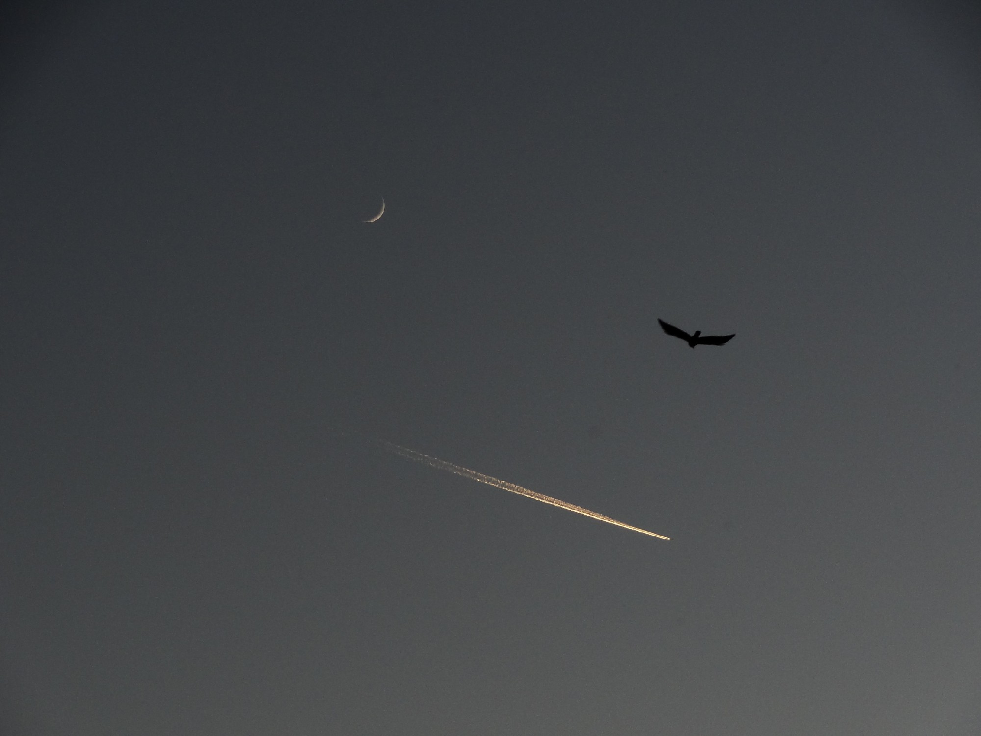 DSC01561 - 副本.JPG