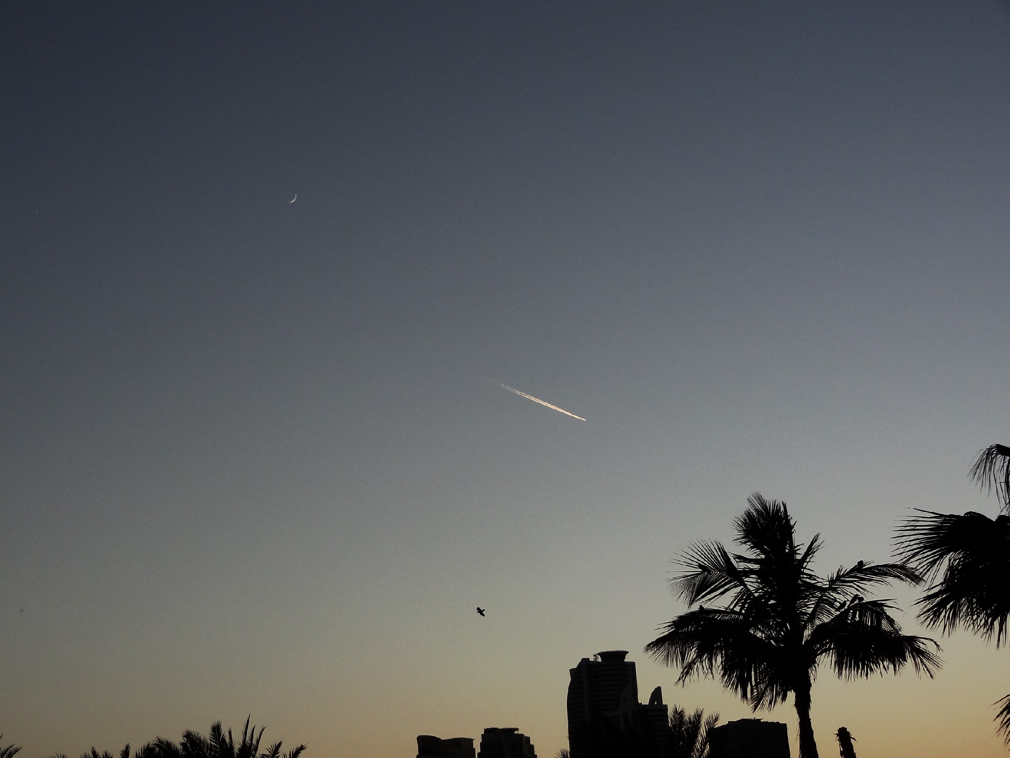 DSC01566 - 副本.JPG