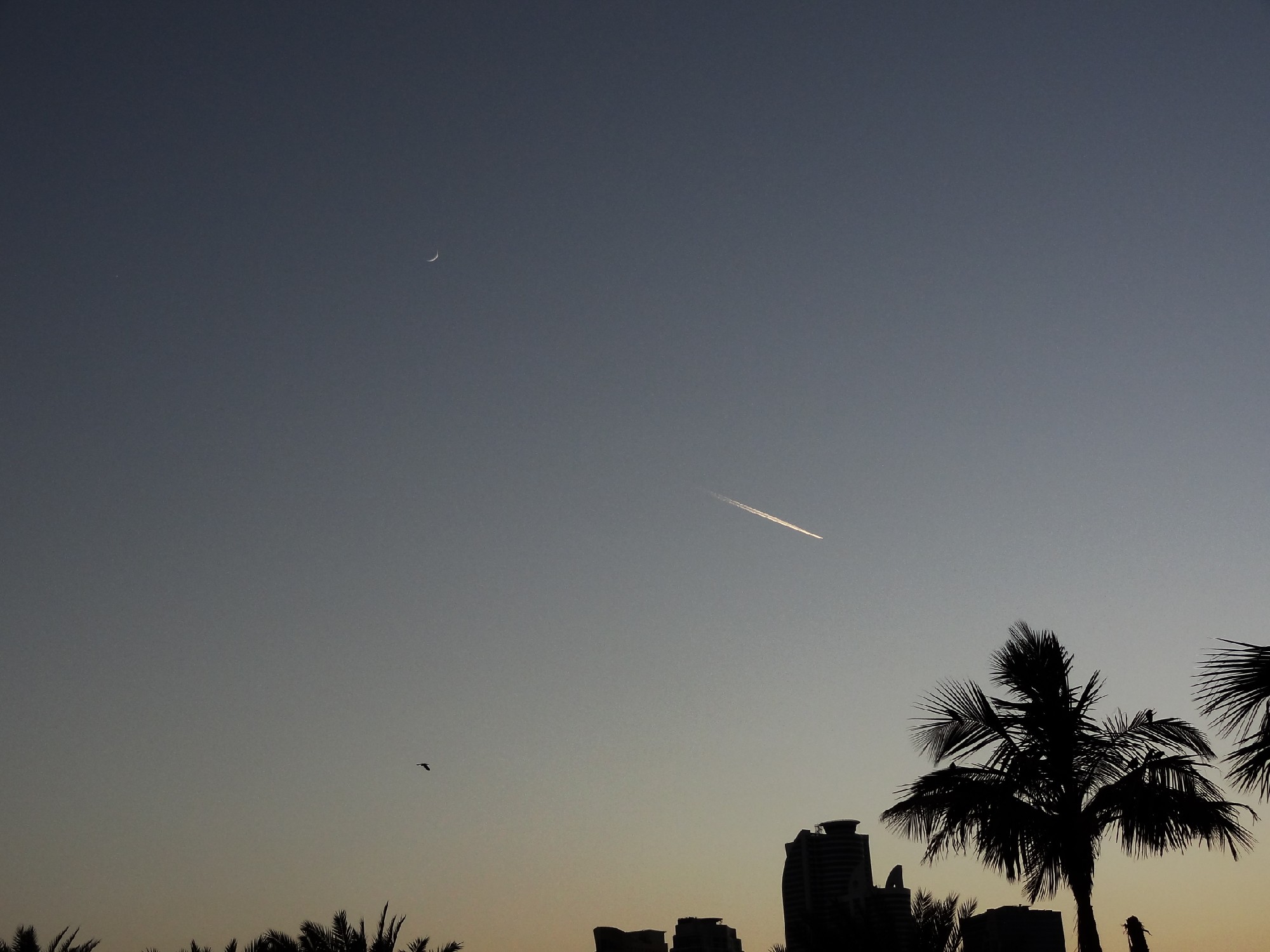 DSC01567 - 副本.JPG